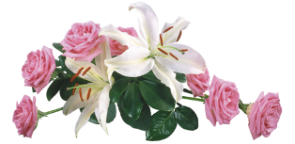 0_8c4a8_c5ae54c7_orig 
